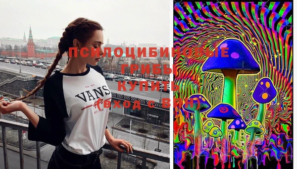 винт Алексин
